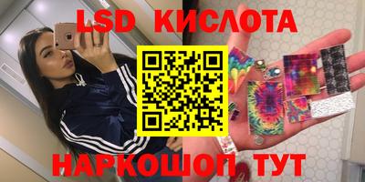 дмт Бийск