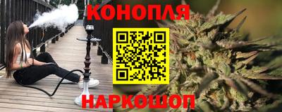 дмт Бийск