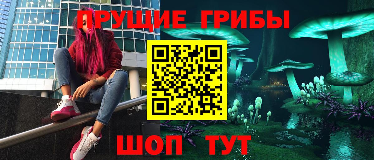 Псилоцибиновые грибы мицелий Каспийск